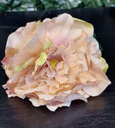 Capete de bujor artificial crem-piersică – material textil, diametru 9 cm, lungime 26 cm